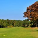 공항골프존 이미지