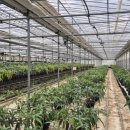 농경3농장 이미지