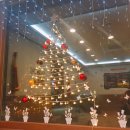 삼백한우뜰 | 상주맛집/ 한우암소 꽃등심 전문점 '삼백 한우뜰' 솔직후기