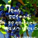 탐엔탐스 네이버블로그