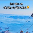 3월 21일(토) 꽃길따라 물길따라 섬진강변 매화꽃여행/하동 대도섬 둘레길 걷기/♡40,000원.조중식(찰밥).36석리무진운행 이미지