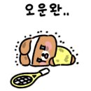 광명시립테니스장 이미지