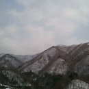 영롱농장 이미지