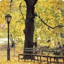 그곳에가고싶다 이미지