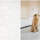 금배네 민박 이미지