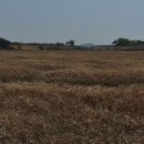 공룡알화석지방문자센터 이미지