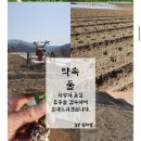 농부심 이미지