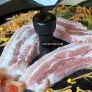베이지보울 이미지