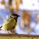 쿨한인생 이미지