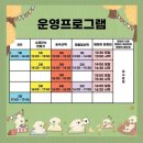 몽실이와찌