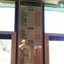 차이둔 이미지