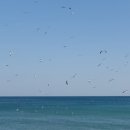 하저해수욕장 이미지