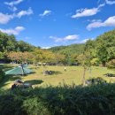 선암호수공원 축구장 화장실 이미지