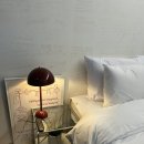 더 다온 | 강릉여행 숙소 추천- 더다온 내돈내산 솔직후기 (위치,가격 다 만족/재방문함)