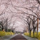 낙동여자중학교 이미지