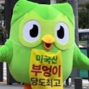 신세대슈퍼 - 계양구 | 듀오링고 243일차 후기(무료버전)