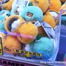 보라카이 오락실 이미지