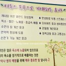 솔트힐링스파 | 제주도족욕 제주시족욕 힐링스파앤족욕 찐 만족 후기