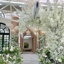 리움 | 밝은 하우스웨딩 분당웨딩홀 더 바실리움 내돈내산 계약후기