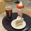 씨유대구약전골목점 | 대구 동성로 카페 딸기케이크 디저트 맛집 슬로우터틀 약전골목점