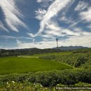 칠보마트 | 정읍 칠보 다리 대칠교 평상 이용 정보 / 물놀이 후기