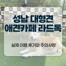 성남 대형견 애견카페 라드독, 실제 이용 후기와 주의사항