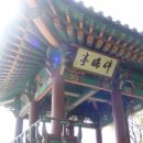정승식당 Daum카페
