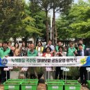 안룡초등학교 이미지