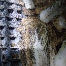 월학농장 이미지