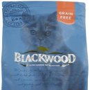 베스트 캣 이미지