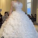 공도목욕탕 | w14)시그니처 엘리자베스/브라이덜공 드레스투어 간단후기