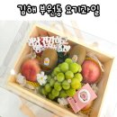 김해 부원동 과일가게 요기과일 김해 과일바구니 주문 후기