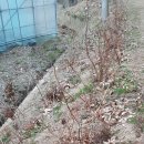 노지하우스 이미지