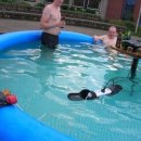 바보남