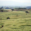 귀소농장 이미지