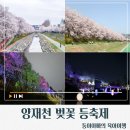 양재천 수변무대5 | 강남]양재천 벚꽃등축제 총정리/ 서울 벚꽃 야경 명소/일정/프로그램/주차/양재공영주차장/양재천수변무대