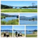 대청호 오백리길 (제 4구간) 슬픈연가촬영지에서~~~ 이미지