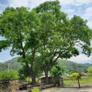 재천농장 이미지