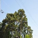 삼우당터 이미지