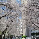 삼호아파트 이미지