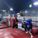 B&S 복싱 이미지