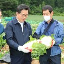 대관령원예농협 채소사업소