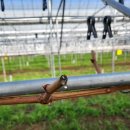 월리농장 이미지