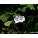 들길 따라서 이미지