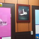 세종 효 태권도 이미지