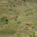 양현농장 이미지