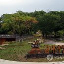 금대자동차야영장(치악산국립공원) 이미지