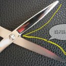 가위테크닉