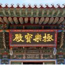 수림장 이미지