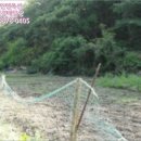 진전면932 이미지